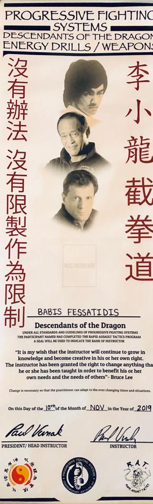 Progressive Fighting System Zertifikat